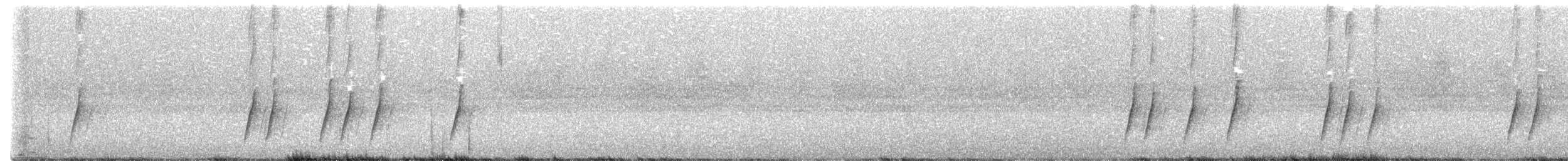 Curve-billed Thrasher - ML608480086
