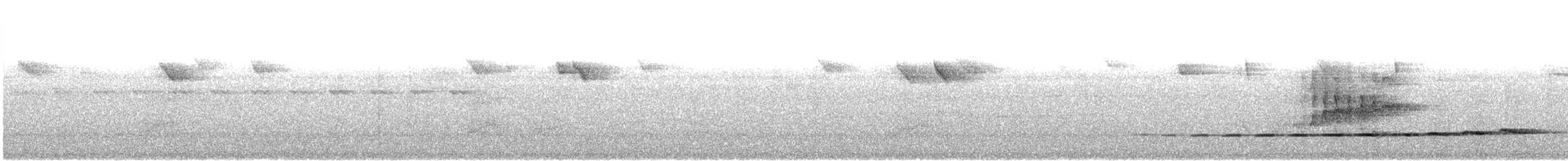 Grallaire de Natterer - ML608494823