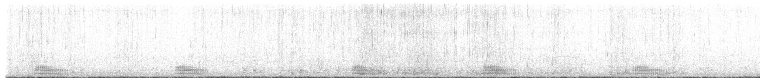 Plongeon du Pacifique - ML608501321