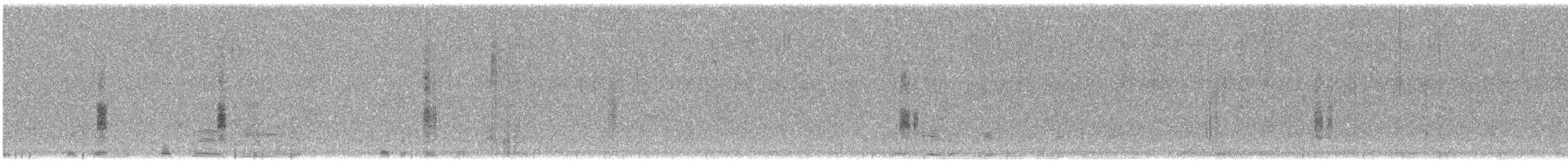 Grass Wren (Northern) - ML608502629