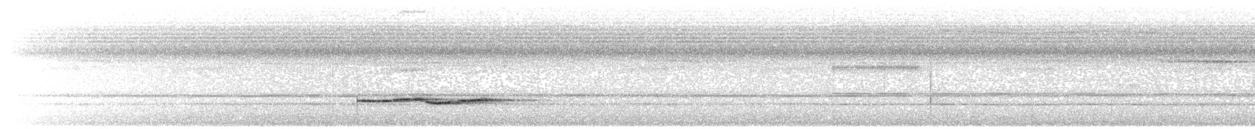 White-necked Babbler - ML608502728