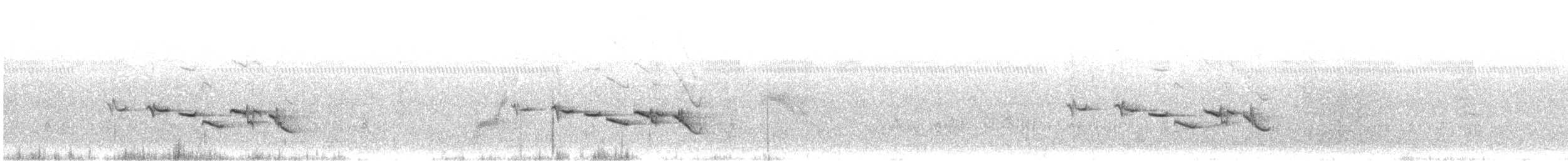 Schlankschnabel-Drosselhäherling - ML608502792