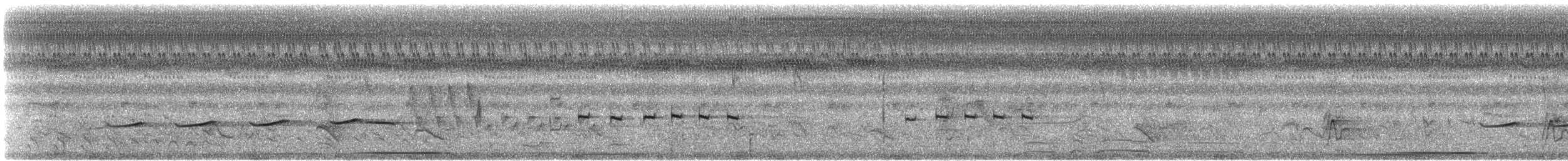 Streifenkuckuck - ML608503990