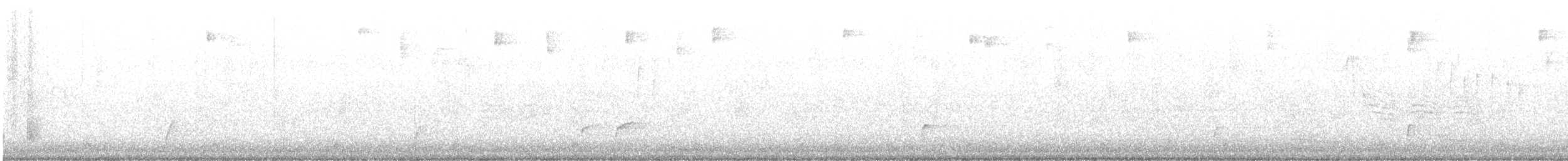 Дрізд-короткодзьоб Cвенсона [група ustulatus] - ML608504128