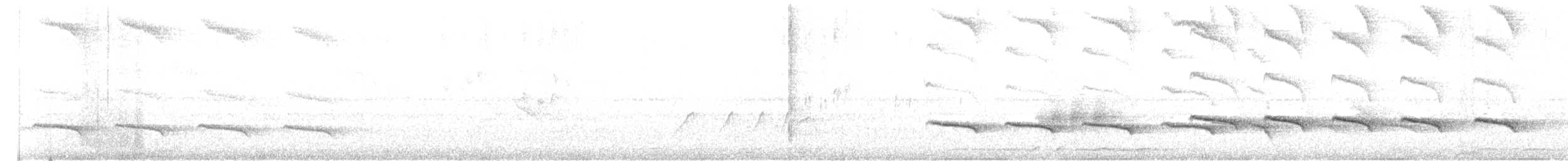 Покривник чорний (підвид immaculata) - ML608504635
