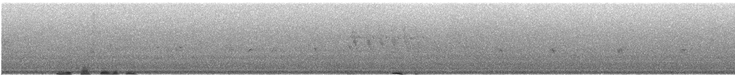 Шишкар ялиновий - ML608505973