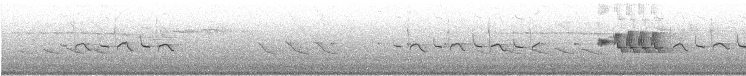 Синиця чорна - ML608506003