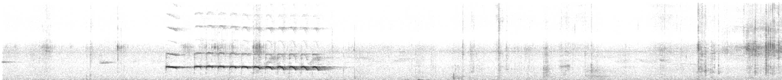 Mayan Antthrush - ML608511405