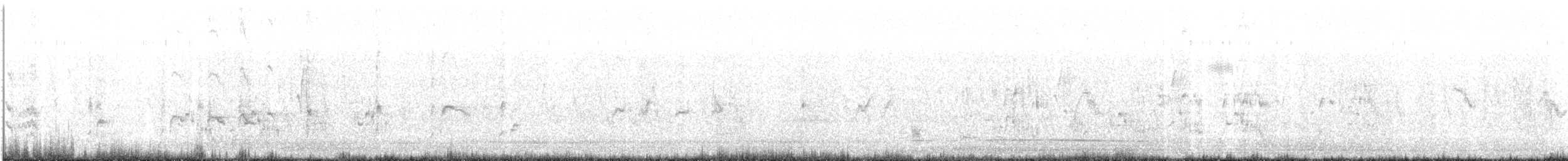 ťuhýk královský (ssp. schach) - ML608512528