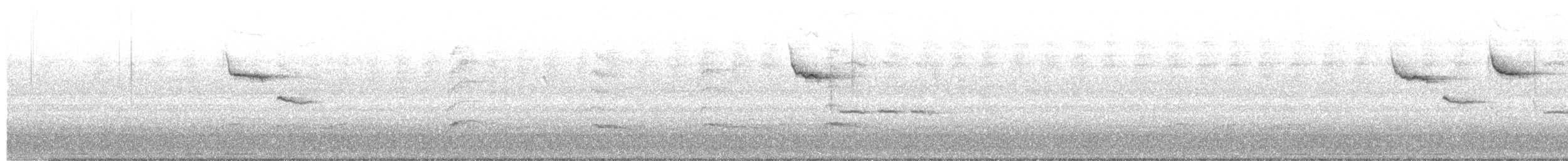 Carolina Chickadee - ML608513420