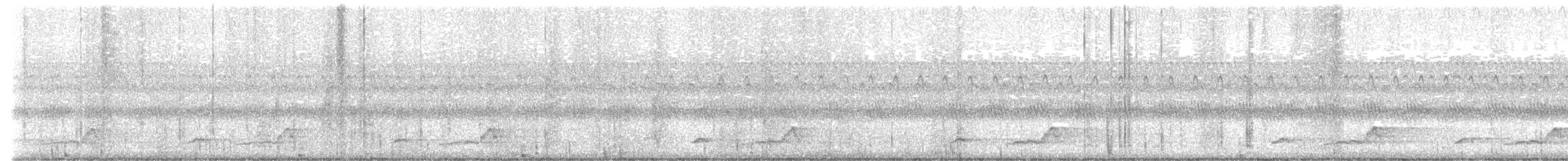 Schwarzkehl-Nachtschwalbe - ML608515563