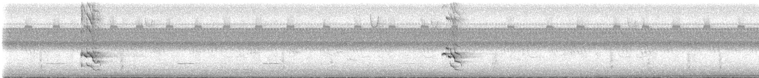 Pic flamboyant (auratus/luteus) - ML608517020