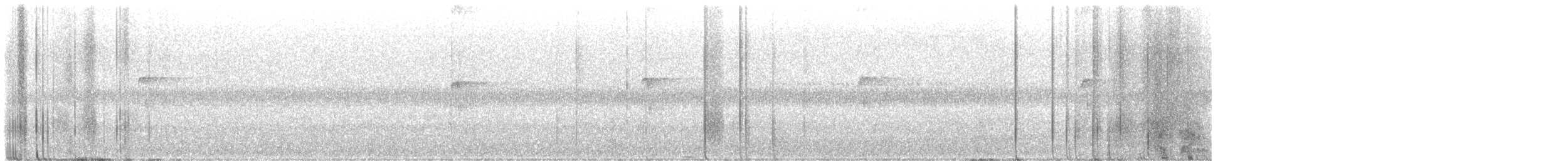 indianerspett (villosus gr.) - ML608517443