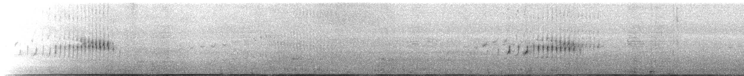 Трясохвіст темночеревий - ML608518097