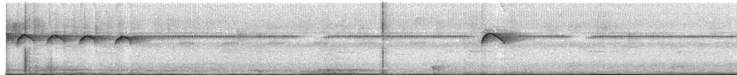 Тиран-крихітка білолобий - ML608520122