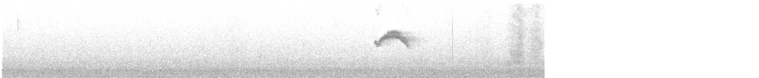 Kestane Karınlı Bülbül Tiranı - ML608521163