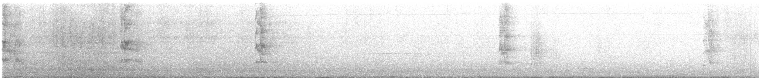 Kahverengi Kulaklı Papağan (frontalis) - ML608521243