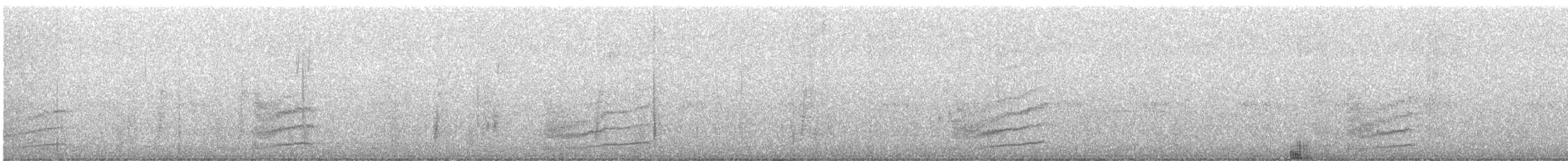 Spotted Towhee (oregonus Group) - ML608525481