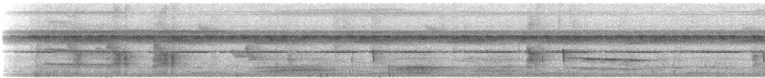 Black-tailed Tityra (Western) - ML608526459
