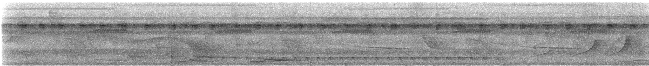 ヒメキヌバネドリ - ML608527816