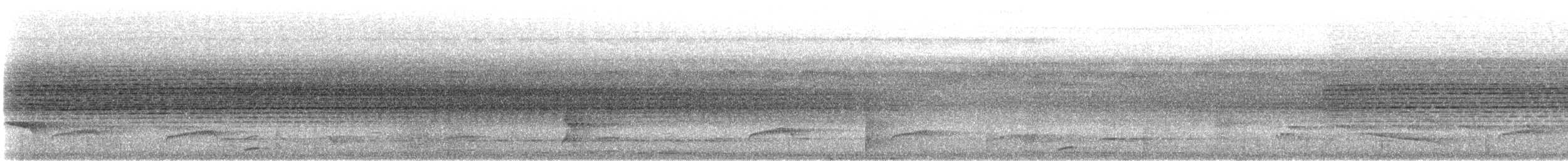 White-fronted Manakin - ML608527868