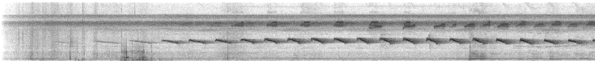 Rostbauch-Ameisenschlüpfer - ML608529027