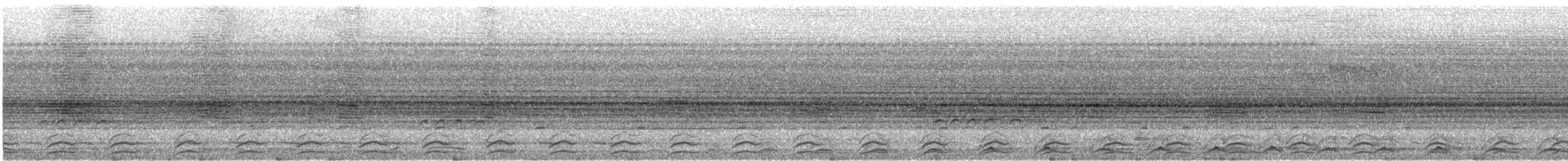 Black-tailed Trogon (Black-tailed) - ML608530379