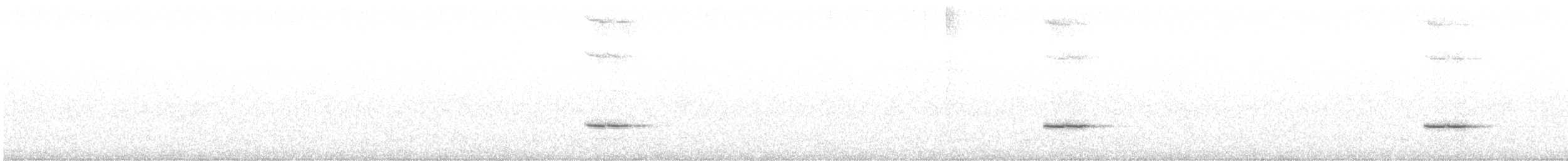 Розела білогорла - ML608531394