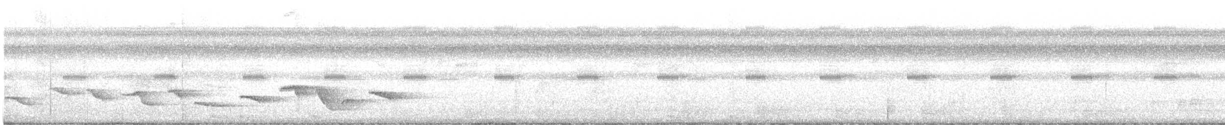Чернобровый шелкопёр - ML608534218