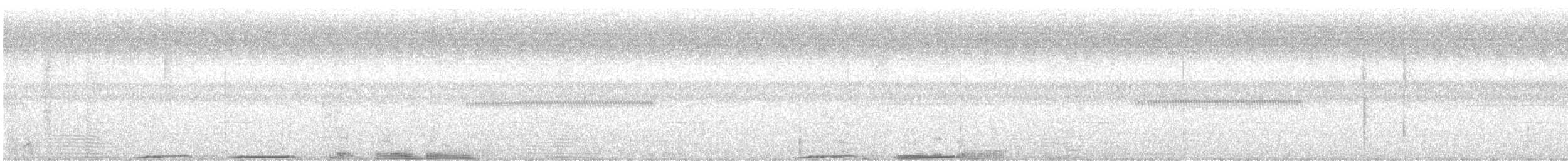 holub tmavohřbetý - ML608534664