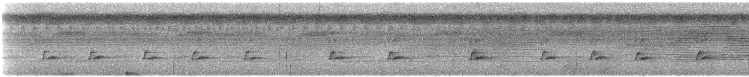 kolibřík dlouhozobý [skupina moorei] - ML608535094