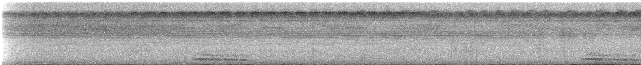 Strichelbrust-Ameisenpitta - ML608535134