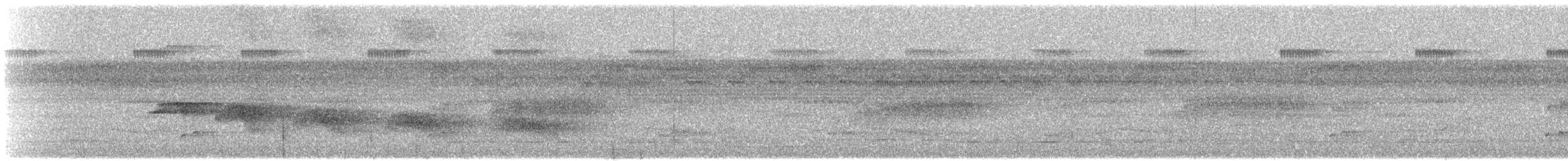 Rotspiegel-Ameisenvogel - ML608535217