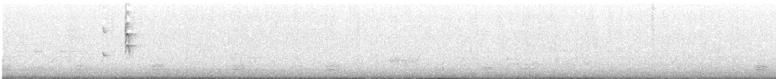 Gray Fantail (alisteri) - ML608538775