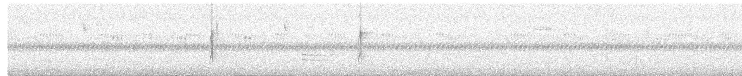 Connecticut Warbler - ML608544153