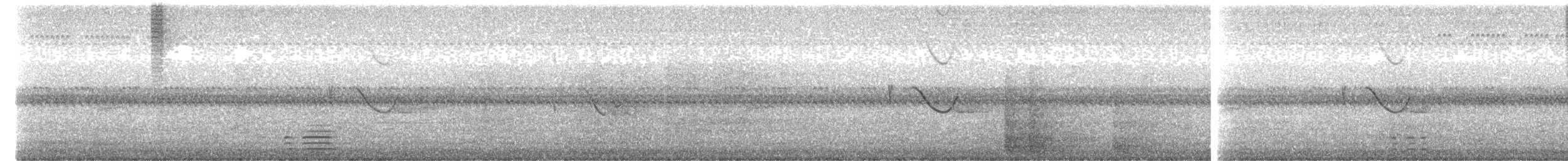 Spot-tailed Nightjar - ML608547661