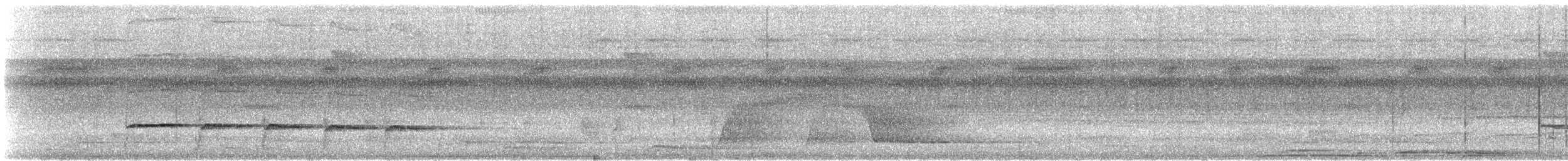 Schwarzbrustspecht (occidentalis) - ML608554361