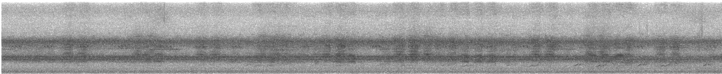 Schwarzkehl-Nachtschwalbe - ML608554772