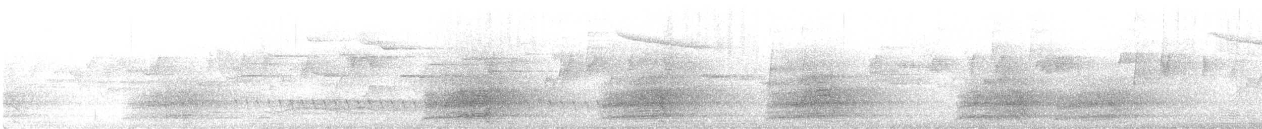 Sulphur-crested Cockatoo - ML608568732