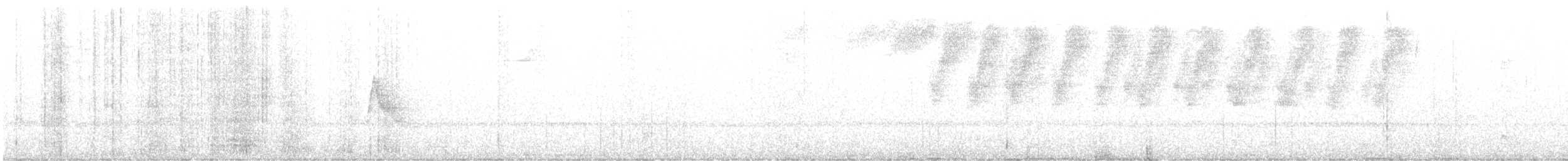Kara Gerdanlı Todi Tiranı - ML608570794