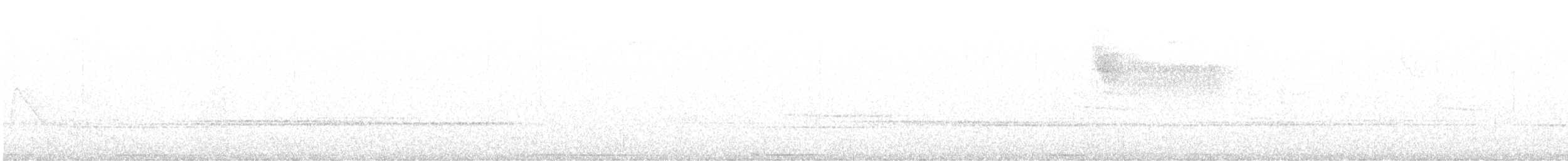 pigeon/dove sp. - ML608570938