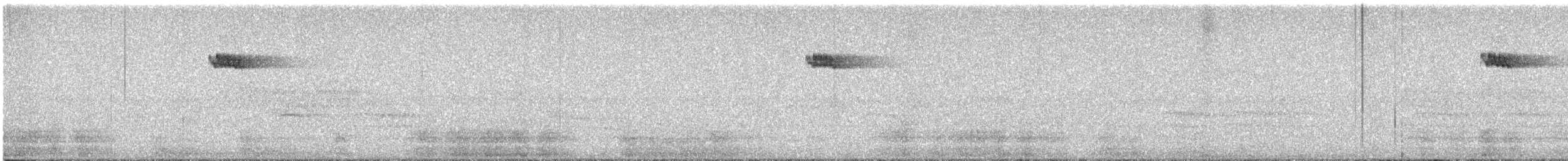 Brown Creeper - ML608579835