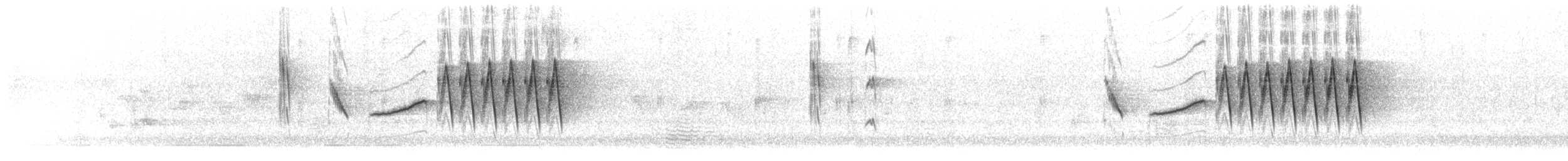 ハイムネハウチワドリ - ML608580320