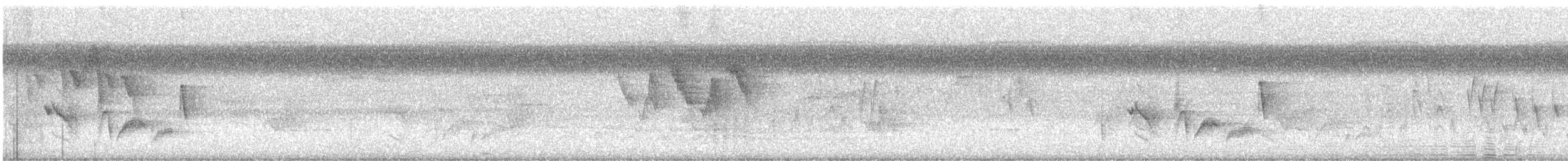 White-eyed Vireo - ML608585089