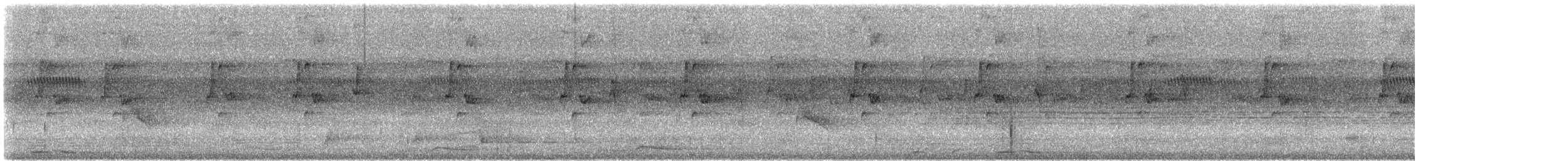 Прямоклювый колибри-отшельник (bourcieri) - ML608586103