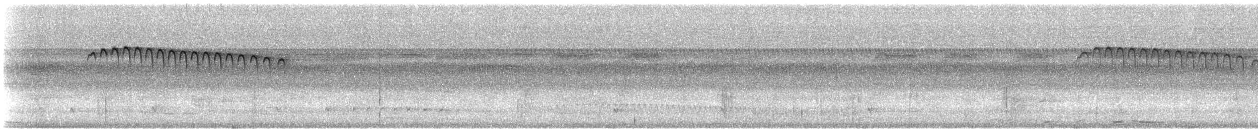 Пестрогорлый алапи (pyrrhonota) - ML608586123