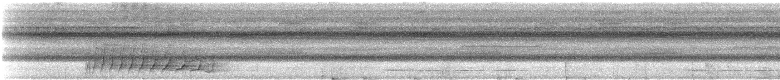 amazonvatretreløper (radiolatus) - ML608594923