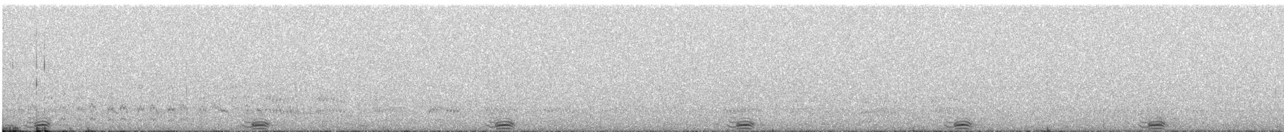 Stripe-backed Bittern - ML608594968