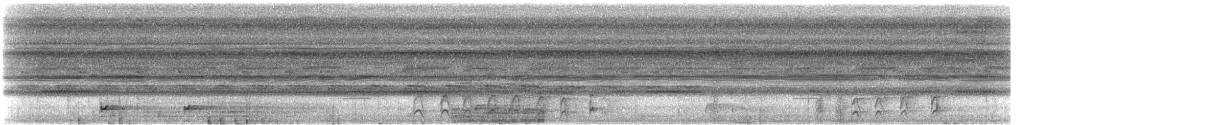 dunkelnatthauk (semitorquatus gr.) - ML608595097