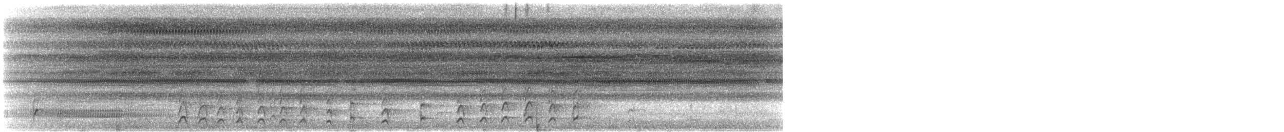 dunkelnatthauk (semitorquatus gr.) - ML608595098